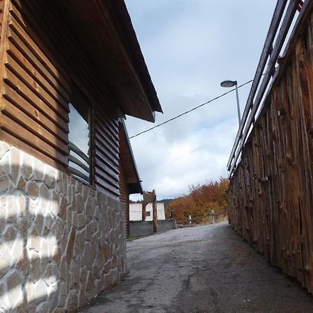 Villa Zagorka And Mountain Houses A, M, D Kopaonik Exterior foto