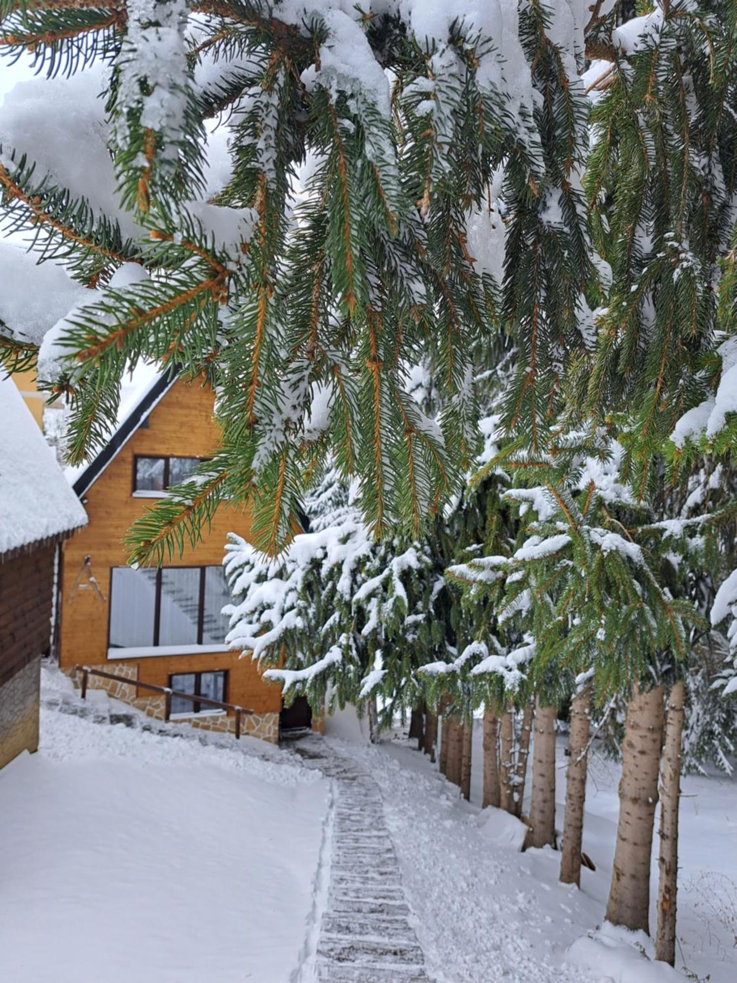 Villa Zagorka And Mountain Houses A, M, D Kopaonik Exterior foto