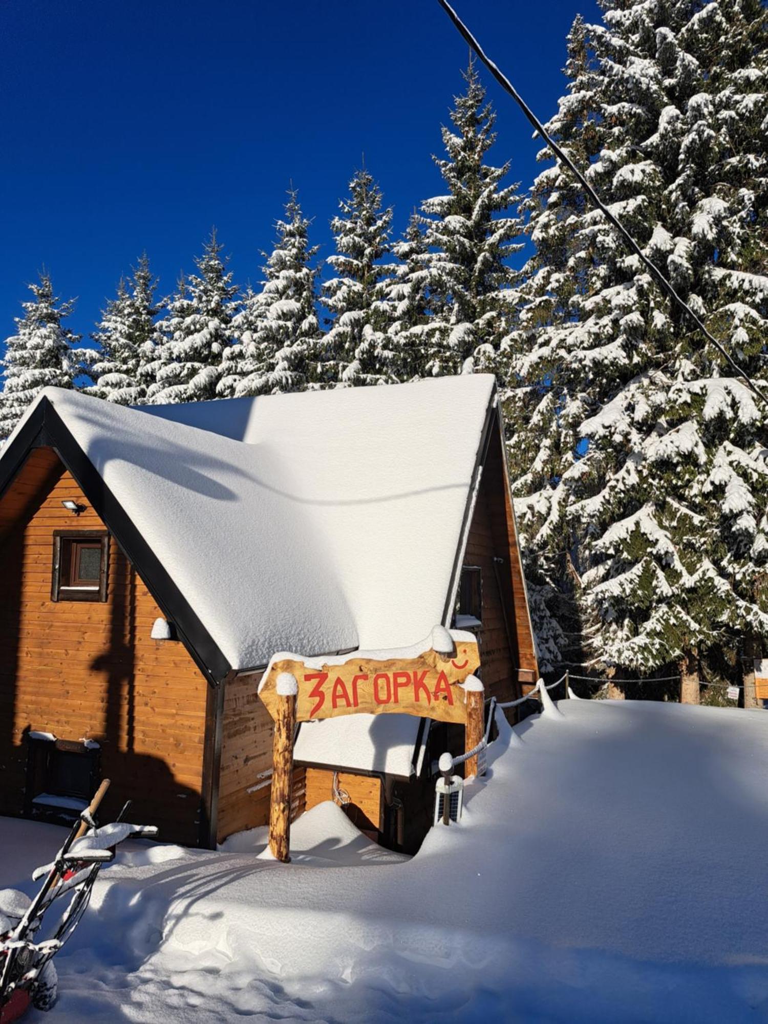 Villa Zagorka And Mountain Houses A, M, D Kopaonik Exterior foto